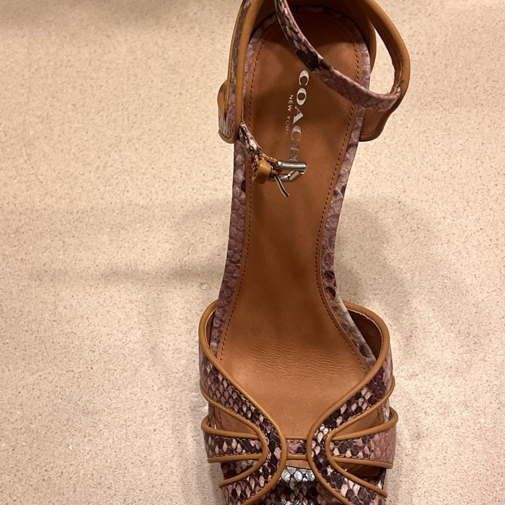Coach Daylan Snakeskin Heels